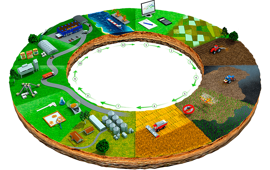 ciclo da agricultura